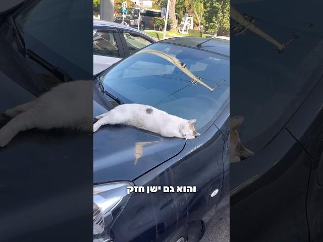 חכו לסוף 