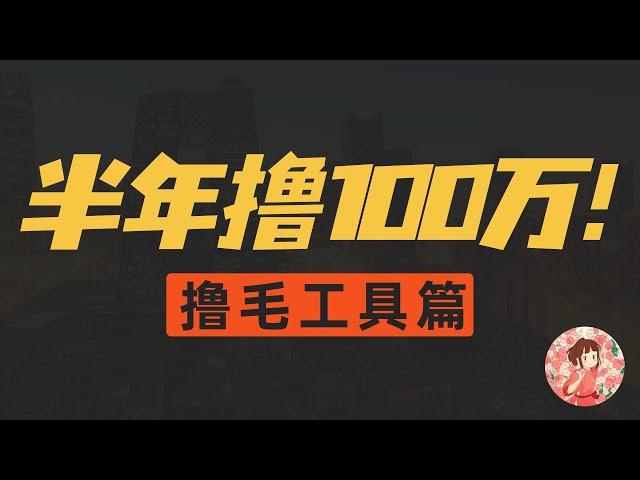 【工具篇】撸羊毛半年赚100万？币圈新手小白撸毛必备工具，全网最全！币圈暴富秘籍！撸羊毛必备工具