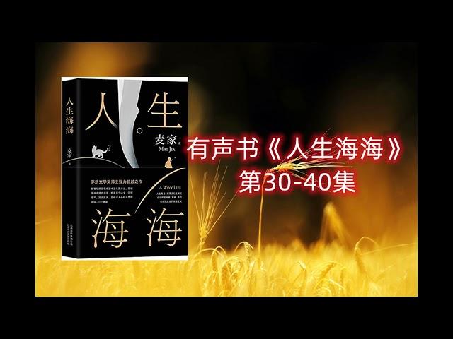 人生海海 （麦家所著长篇小说）有声书30-40集