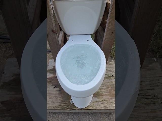 Extremely Powerful Kohler Highline Toilet Overflow