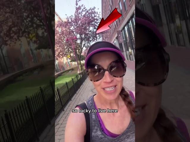 #Boston #pink #trees & #art! #dothingsyoudontwanttodo