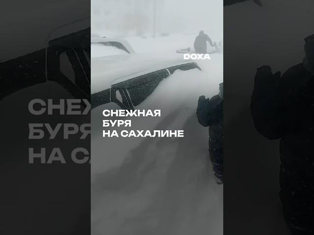 Снежная буря на Сахалине