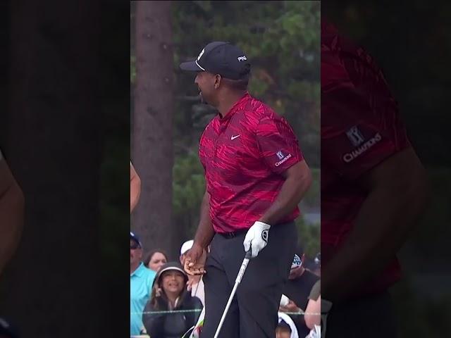 Alfonso Ribeiro hits the green, does the Carlton dance  | #golf #freshprinceofbelair #carltonbanks