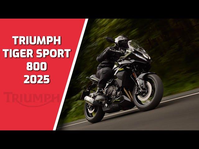 Presentación Triumph Tiger Sport 800 2025 | Precio, Ficha Técnica y disponibilidad