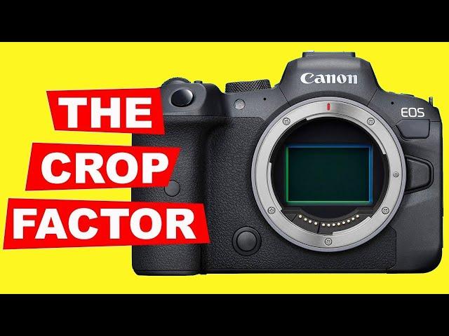 PHOTOGRAPHY TIPS - THE CROP FACTOR EXPLAINED FOR BEGINNERS - Full frame Vs cropped sensors.