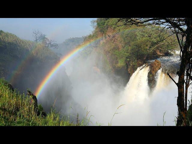 Seeing the Most Powerful Waterfall in the World.