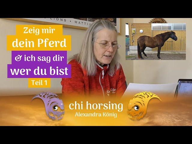 Zeig mir Dein Pferd und ich sage Dir wer Du bist! Folge 1 Pferdesprache lernen mit chi horsing