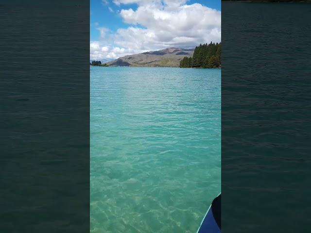 #paddleboardadventure #nzmustdo #nz #paddleboard #lake