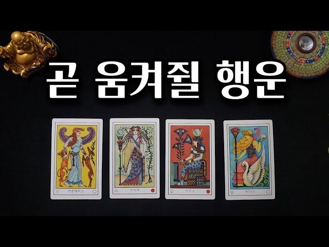 [타로운세] 곧 움켜쥘 행운!! #tarot