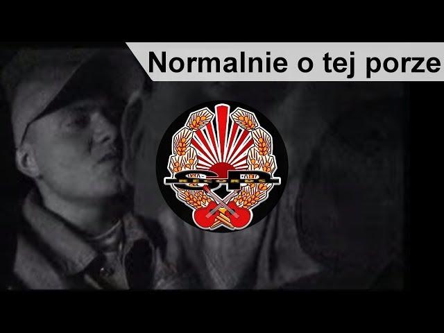 KALIBER 44 - Normalnie o tej porze [OFFICIAL VIDEO]