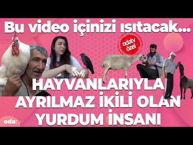 Bu video içinizi ısıtacak... Hayvanlarıyla ayrılmaz ikili olan yurdum insanı