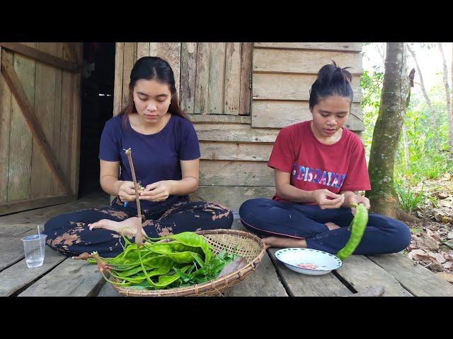 Suku Dayak || Panen Petai Langsung Masak di Pondok