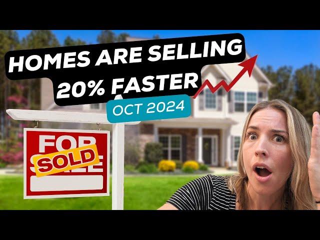 Edmonton Real Estate Market Update – October 2024