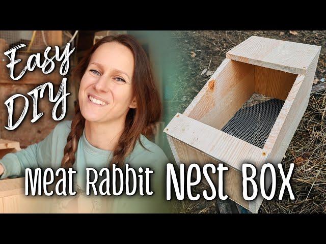 Rabbit Nest Boxes - Easy DIY for meat rabbits + some tips!