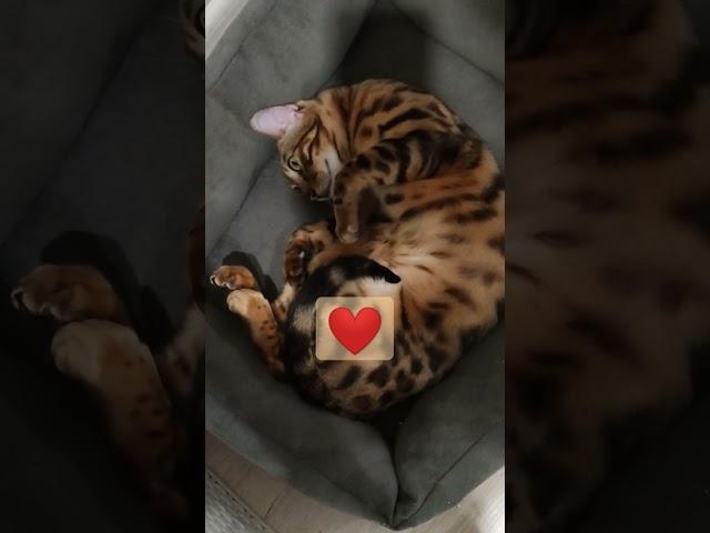 Love her