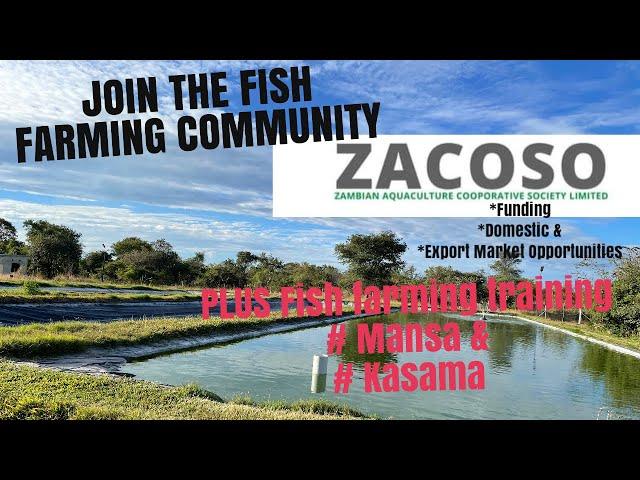 ZDA & ZACOSO MEET LUSAKA FISH FARMERS TO EXPLORE FUNDING, DOMESTIC & EXPORT MARKET OPPORTUNITIES