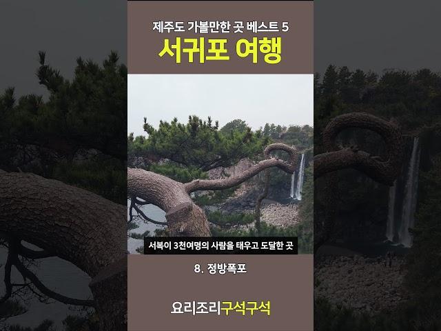 제주도 서귀포 여행 가볼만한 곳 베스트 5