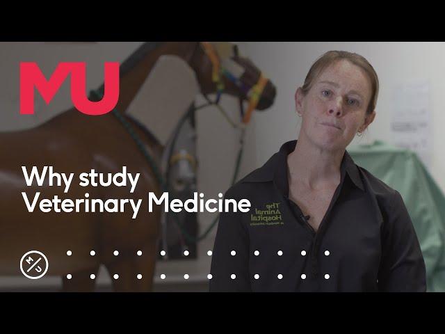 Why study Veterinary Medicine