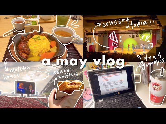 a chill jc vlog  — (barely any) studying, match support, haikyu movie, concert utopia!