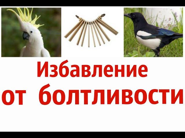 БОЛТЛИВОСТЬ.  Как избавиться от  излишней  разговорчивости. - 14 шагов. САМ СЕБЕ ПСИХОЛОГ: