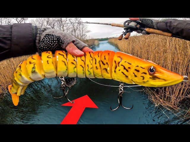 Fishing CRAZY Swimbaits for Northern Pike... 