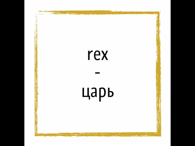 Крылатые выражения на латыни (Qualis rex, talis grex)