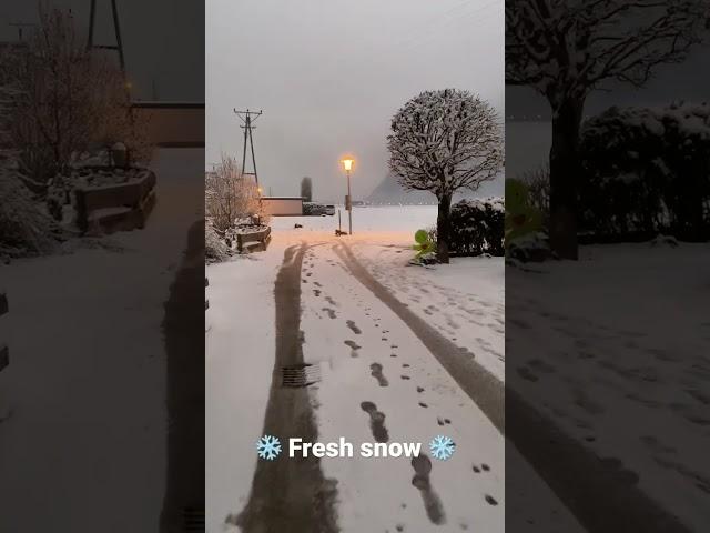 Fresh snow in Mayrhofen!