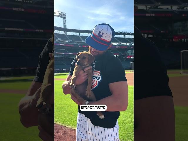Nobody can resist a cute pup 