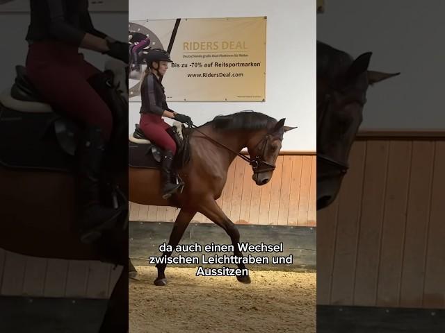 Aussitzen vs Leichttraben  #momoequestrian #equestrian #reitenlernen #reiten