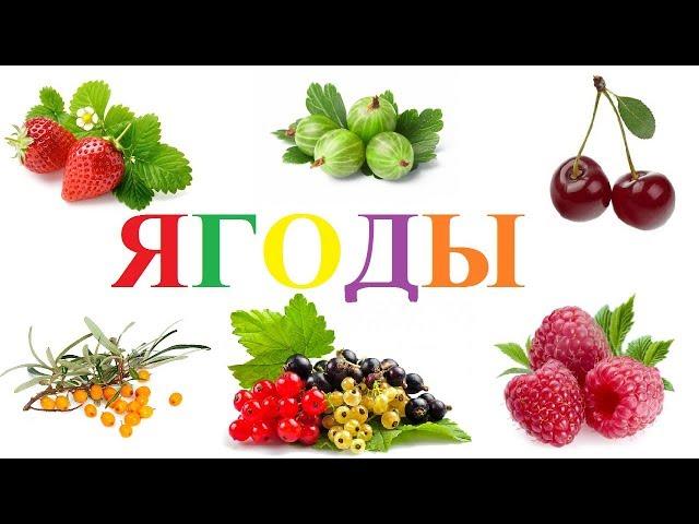 Для детей|Учим названия ягод на русском языке