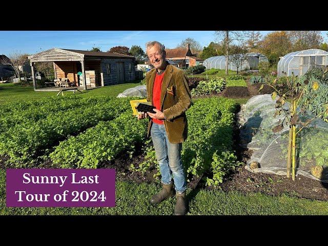 November Garden Full of Vegetables, winter soon and no dig needed