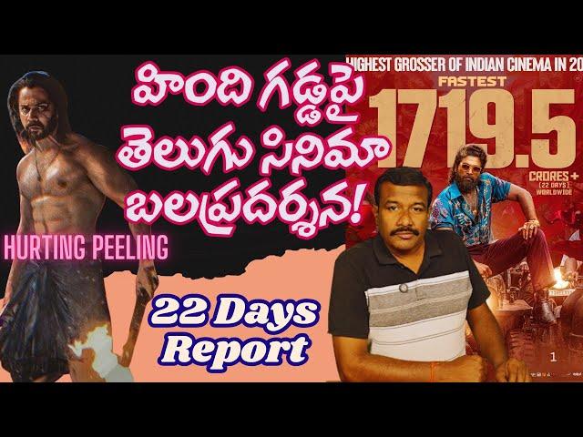 A demonstration of Telugu cinema's strength on Hindi soil | Pushpa 2 Day 22 Collection | Mr. B