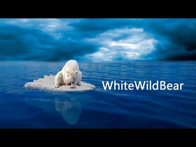 WhiteWildBear Best | Chillstep Mix