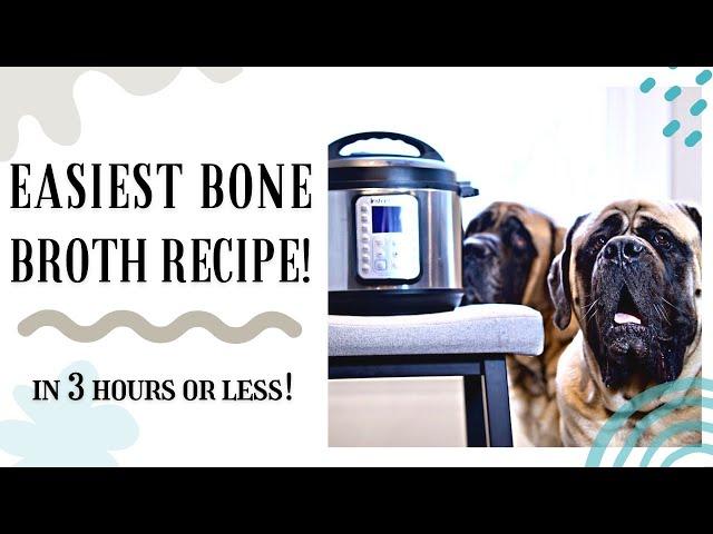 How to Make Instant Pot Bone Broth for Dogs in 3 Hours or Less! | EASY & FAST!!