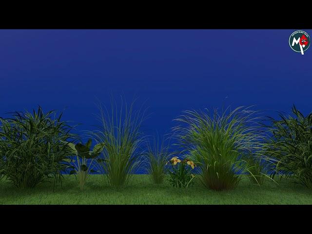 Plants-Blue-Screen_YT_Motion_Guru_Tamil