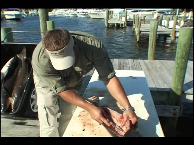 Rigs Tips Cobia Cleaning