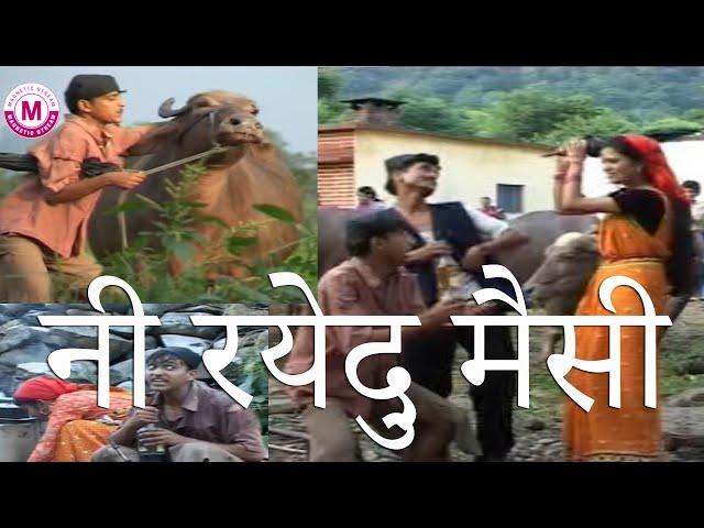 Ni Rayendu Maisi नी रयेन्दु मैसी | Garhwali Song | Magnetic Stream