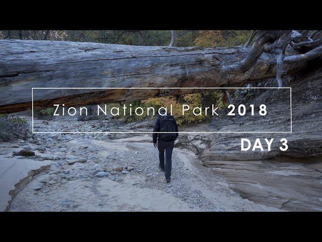 Zion Fall 2018: (Day 3) Analog Landscape Photography in Zion