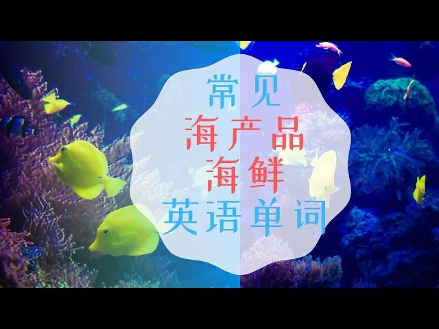 零基础|常见海鲜/海产品英语单词|英语口语单词