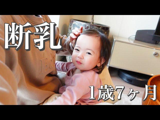 【断乳】1歳7ヶ月、最後の授乳。592日毎日飲み続けてきました(1/4)/Today is the last day of breastfeeding.