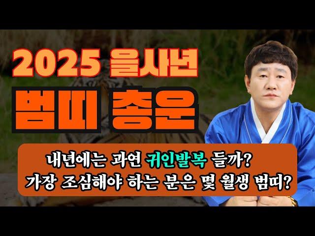 ⭐2025 을사년 범띠 총 운세⭐ㅣ호랑이띠분들 내년에는 과연 귀인발복과 돈복 터질까??ㅣ가장 조심해야 하는 분은 몇 월생 범띠 ??   [황해도이북만신 신도령]