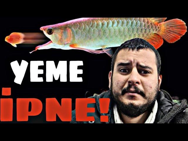 AROWANA ALDIM EŞKİYA LAN BU!