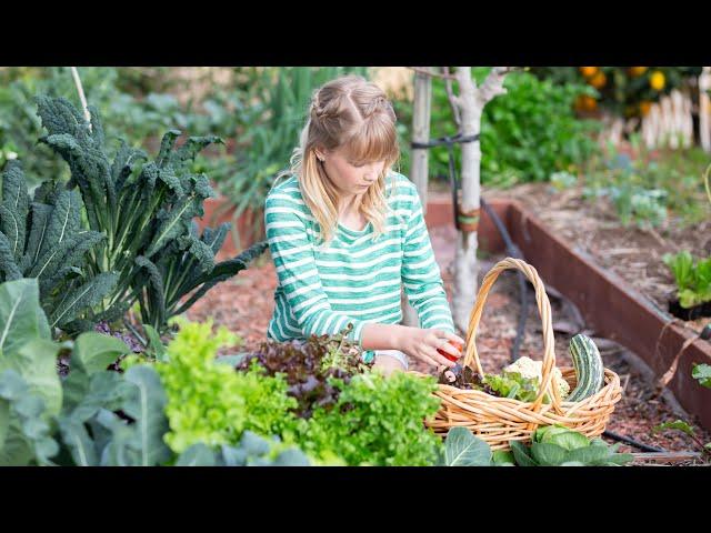 How We Garden Zero Waste // Sustainable Gardening