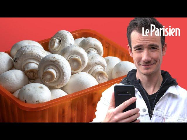 Pourquoi les champignons de Paris viennent-ils de Pologne ?