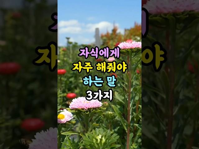 자식에게 자주 해줘야 하는 말 3가지 #명언 #지혜 #좋은글