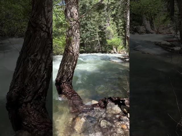 Spring Runoff - Little Cottonwood Canyon