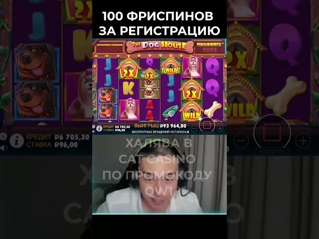 Азартный Бомж хорошо начал в собаках. #заносынедели #слоты #онлайнказино