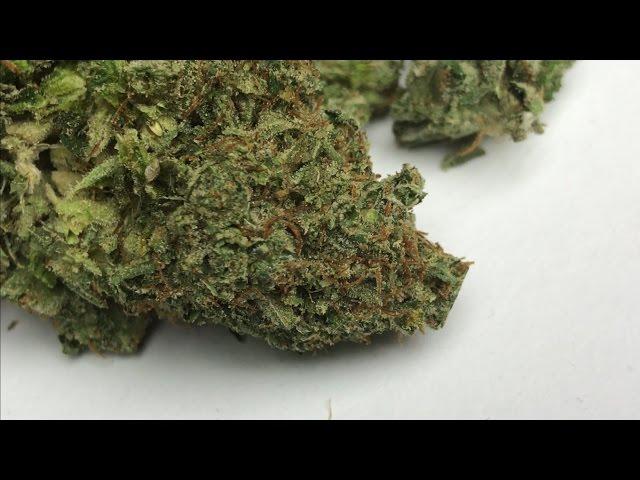 Skywalker OG strain review!