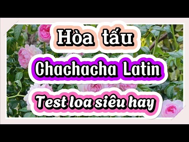 Latin Cha Cha Cha Medley - Superb speaker test