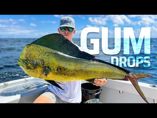 Mahi Fishing Only 2 miles Offshore!